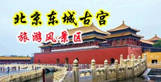 想看男人操逼视频网中国北京-东城古宫旅游风景区